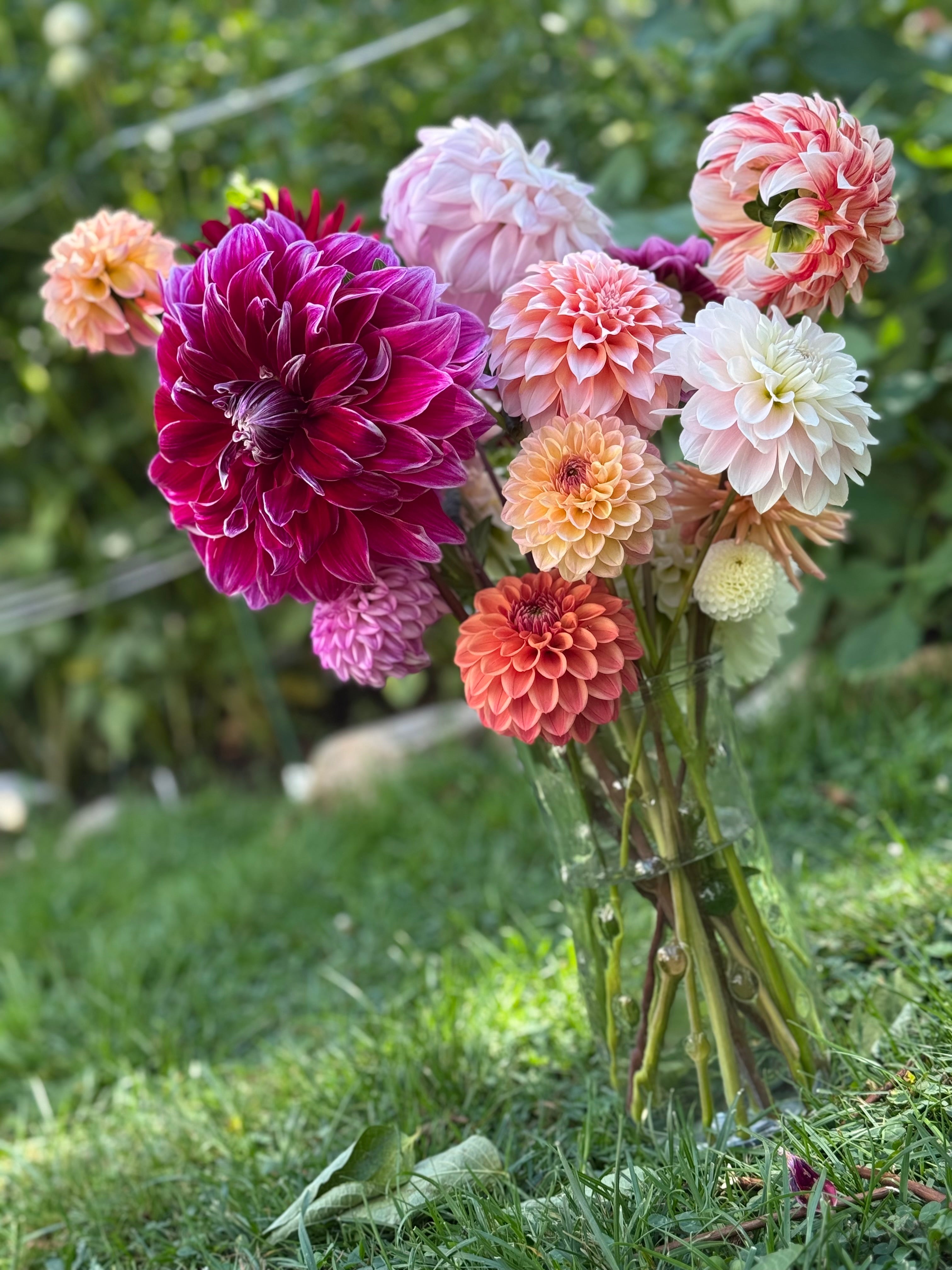 3 Month Flower arrangement subscription