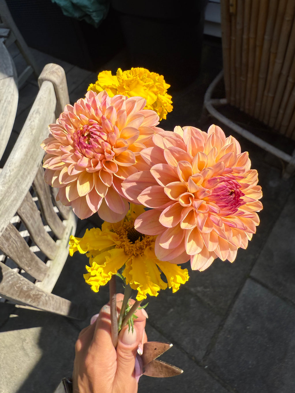 Linda’s Baby Tuber